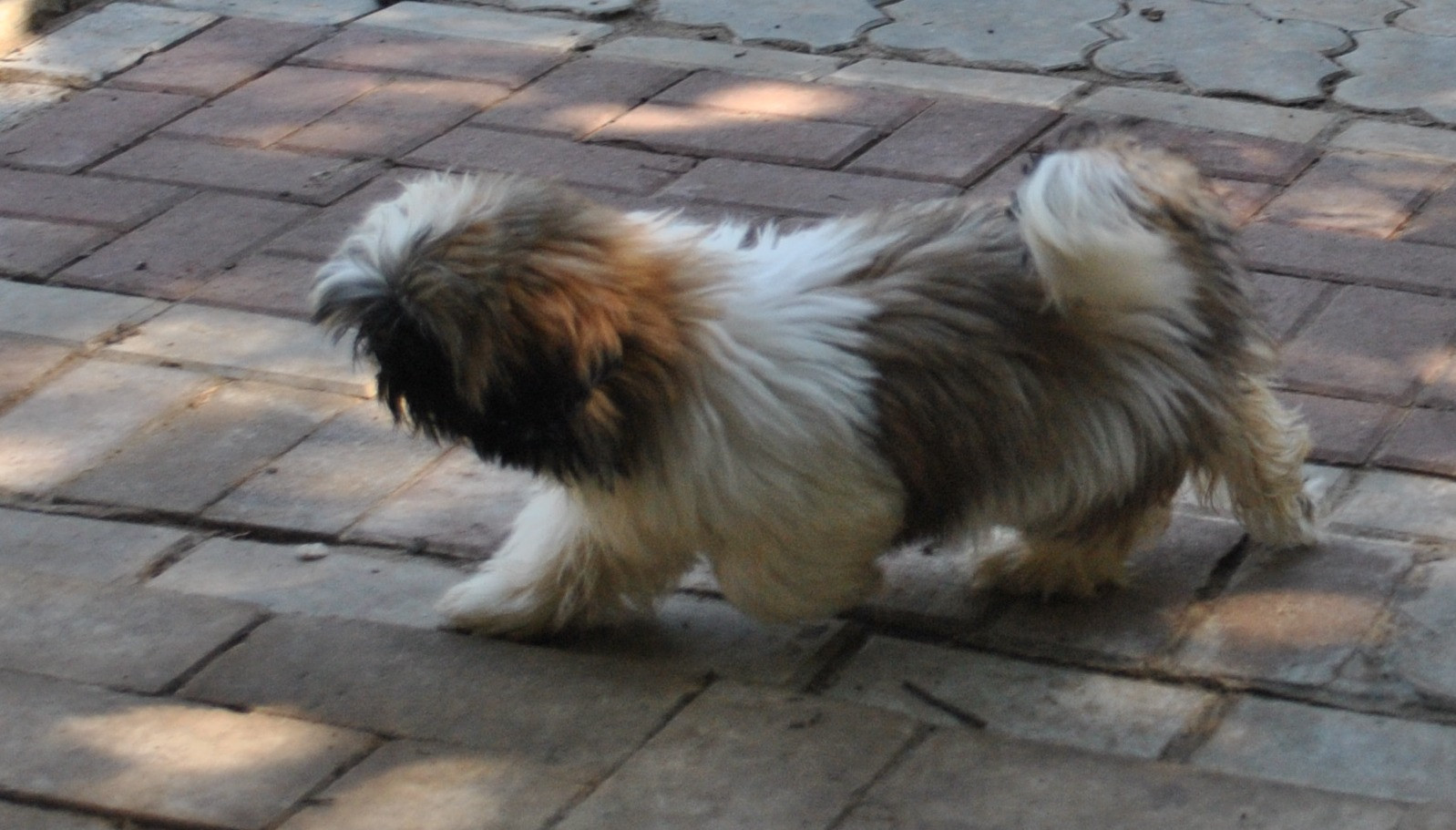 DSC_0688.JPG