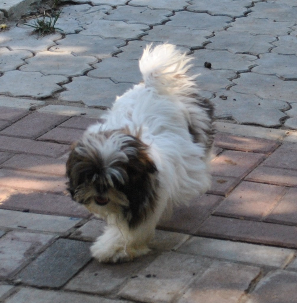 DSC_0710.JPG