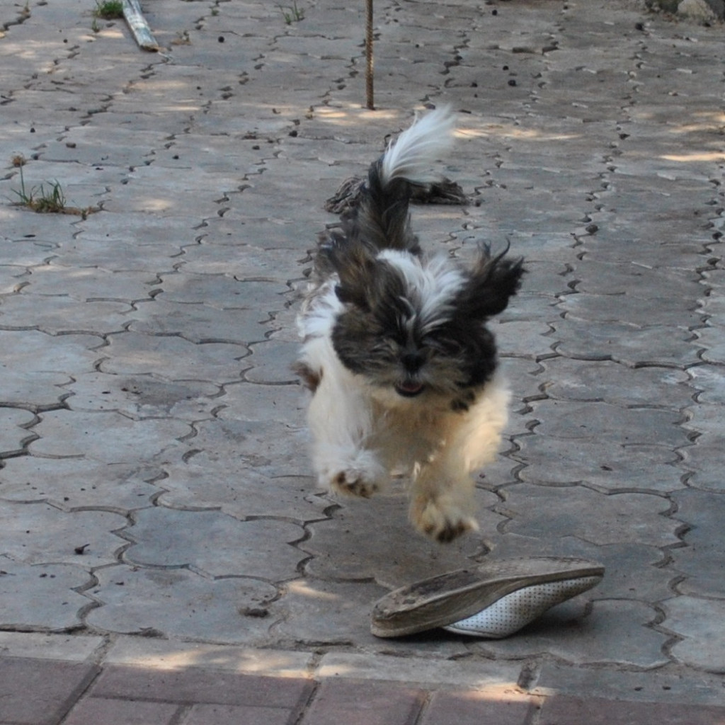 DSC_0716.JPG