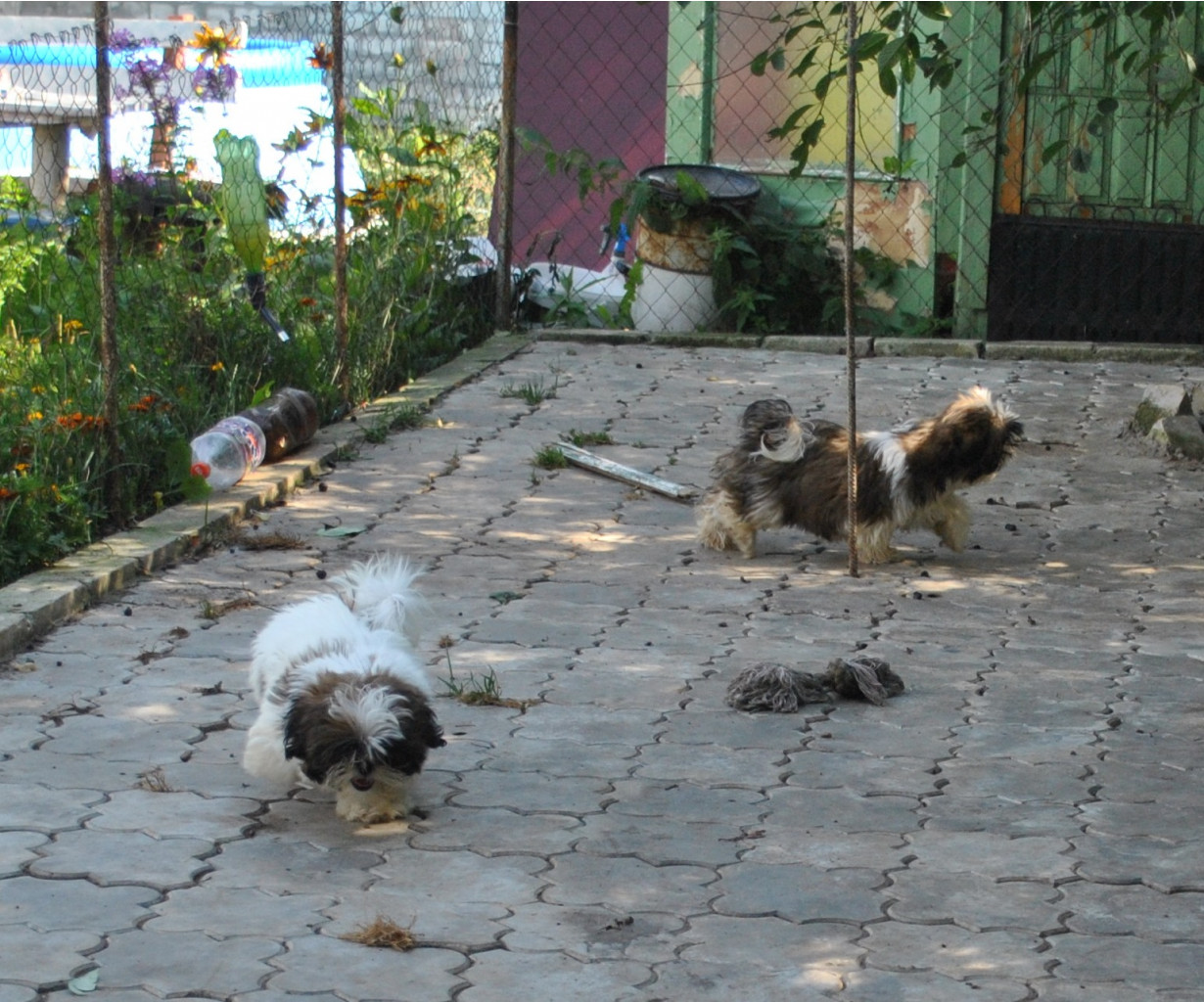 DSC_0742.JPG