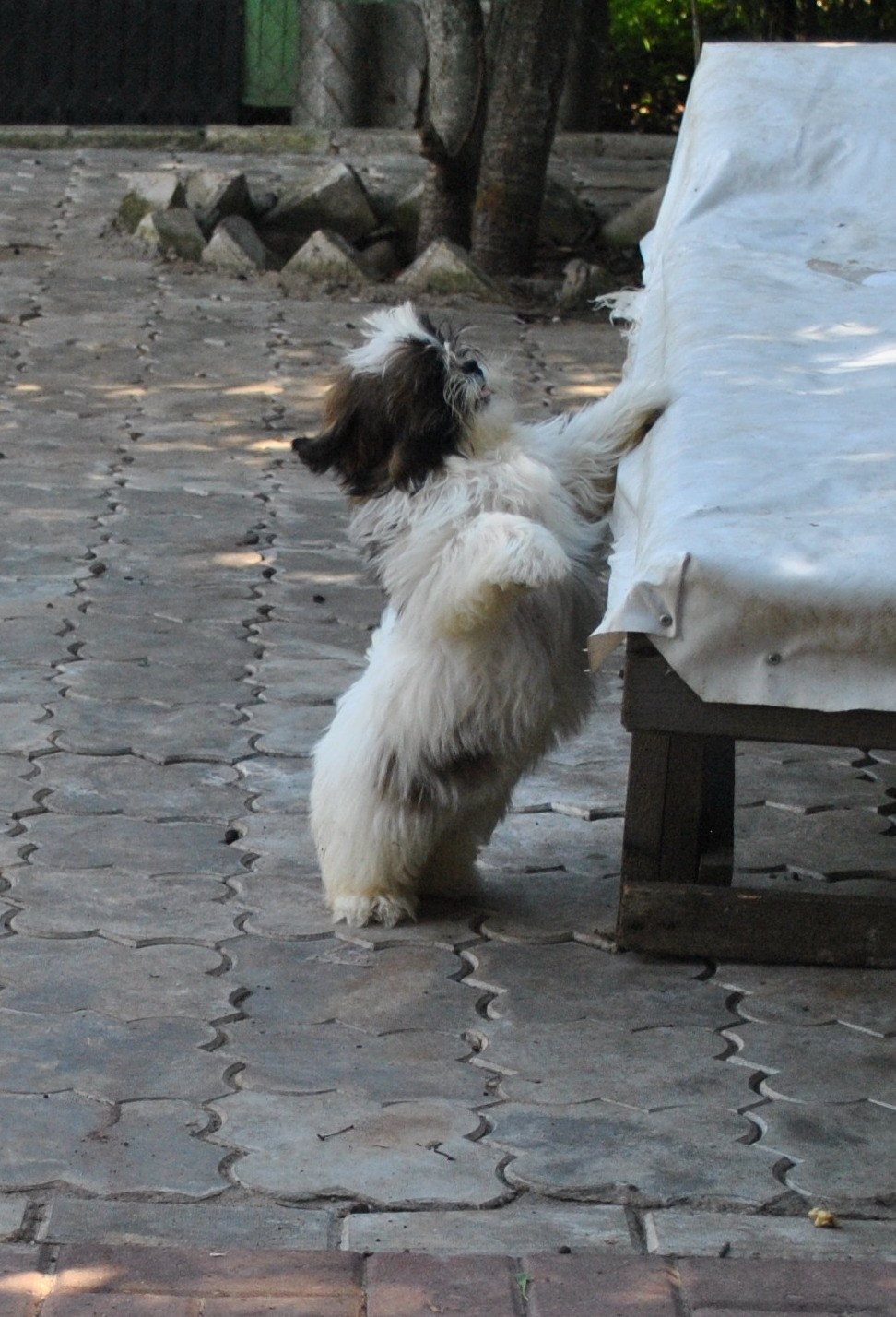 DSC_0744.JPG