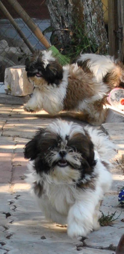 DSC_0791.JPG