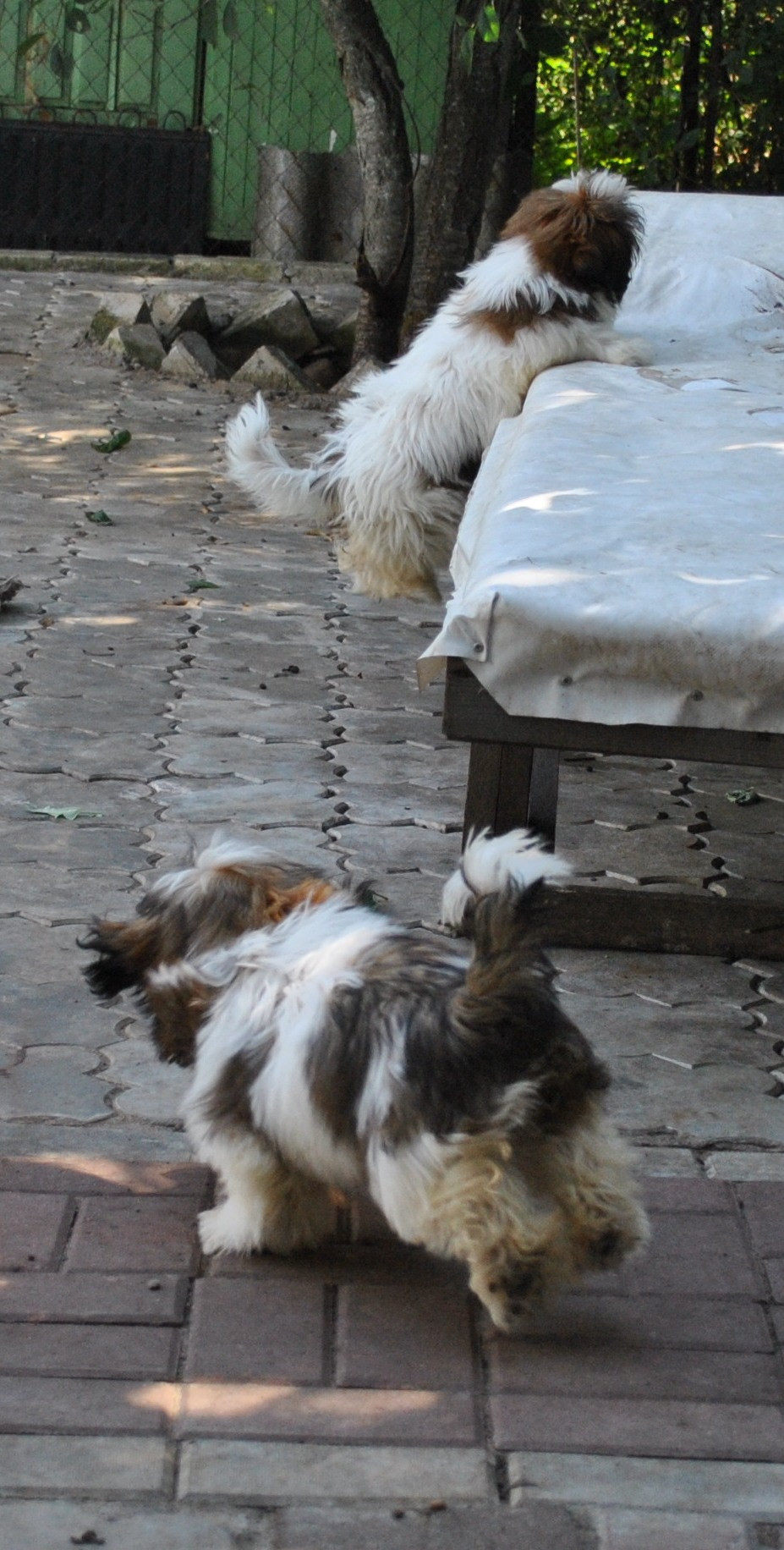 DSC_0804.JPG