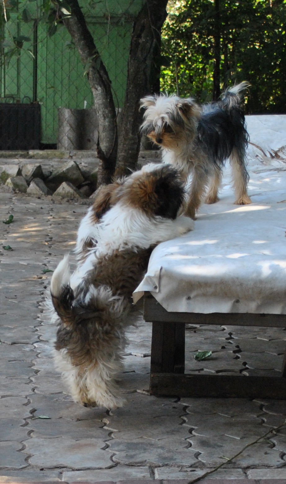 DSC_0808.JPG