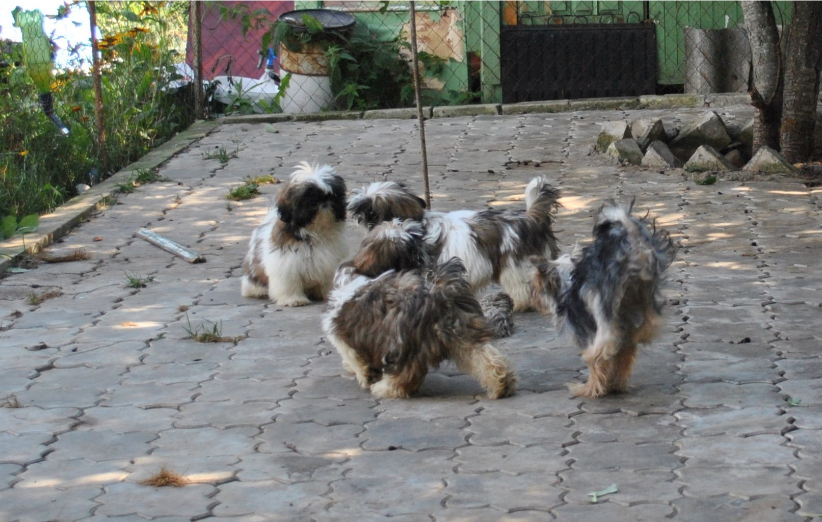 DSC_0821.JPG