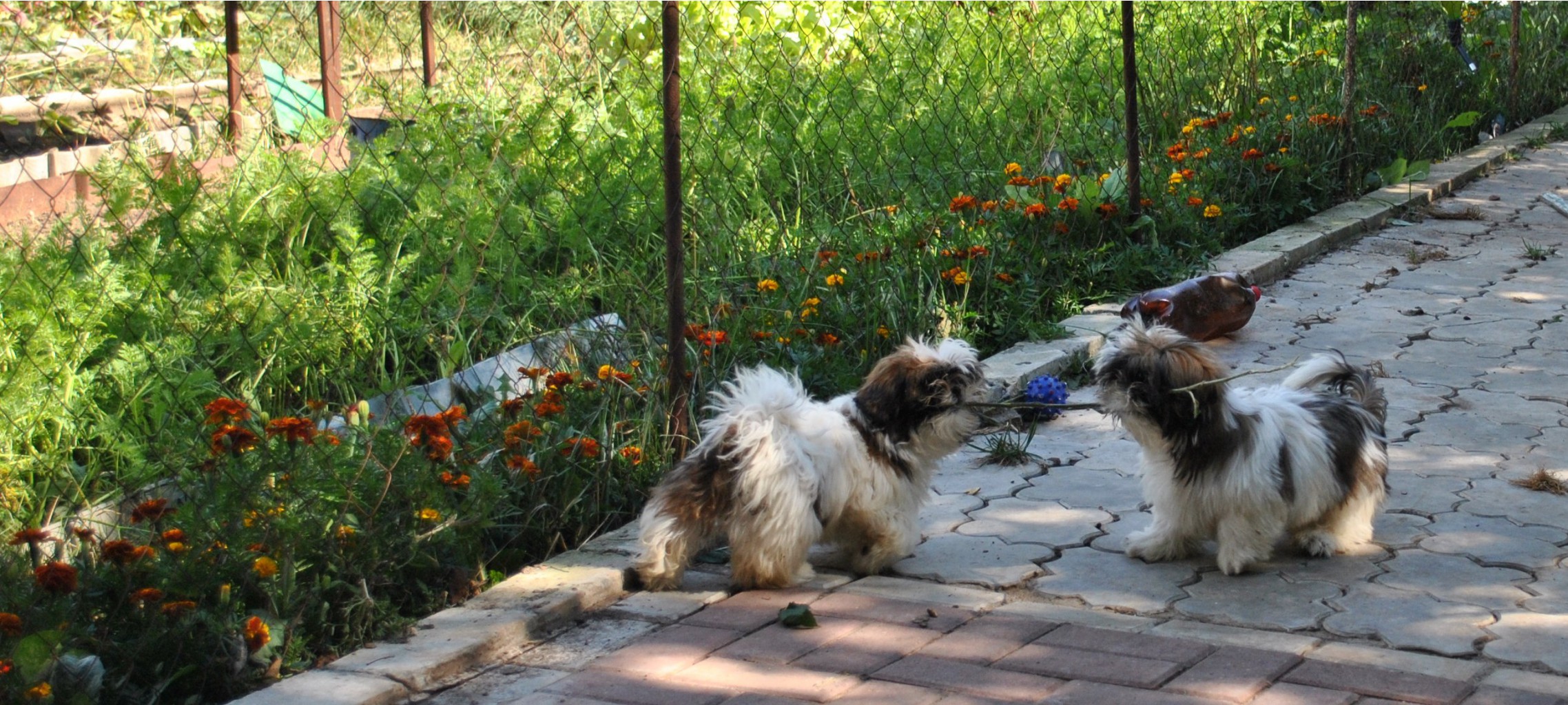 DSC_0831.JPG