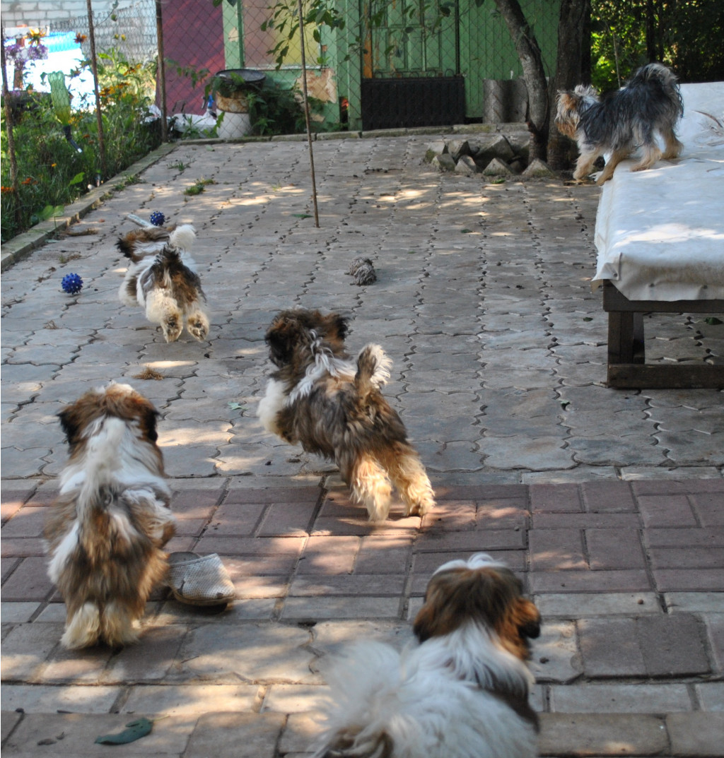DSC_0835.JPG