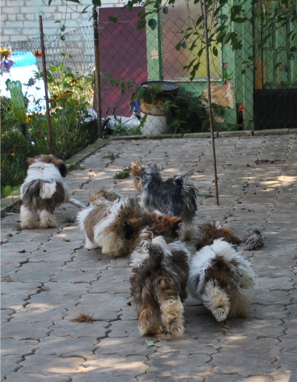 DSC_0843.JPG