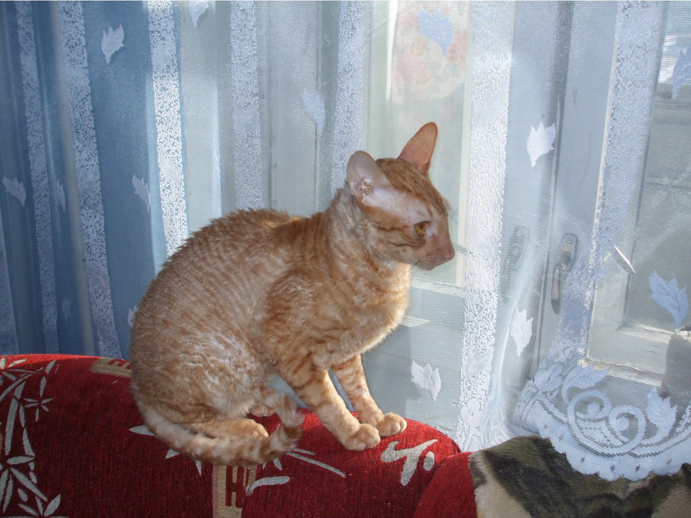 DSCF0570.jpg