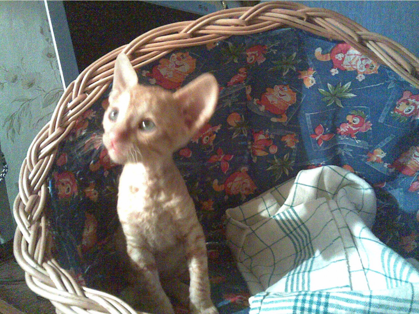 07012007.jpg