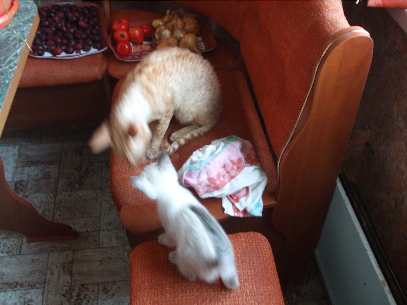 DSCF0391.jpg