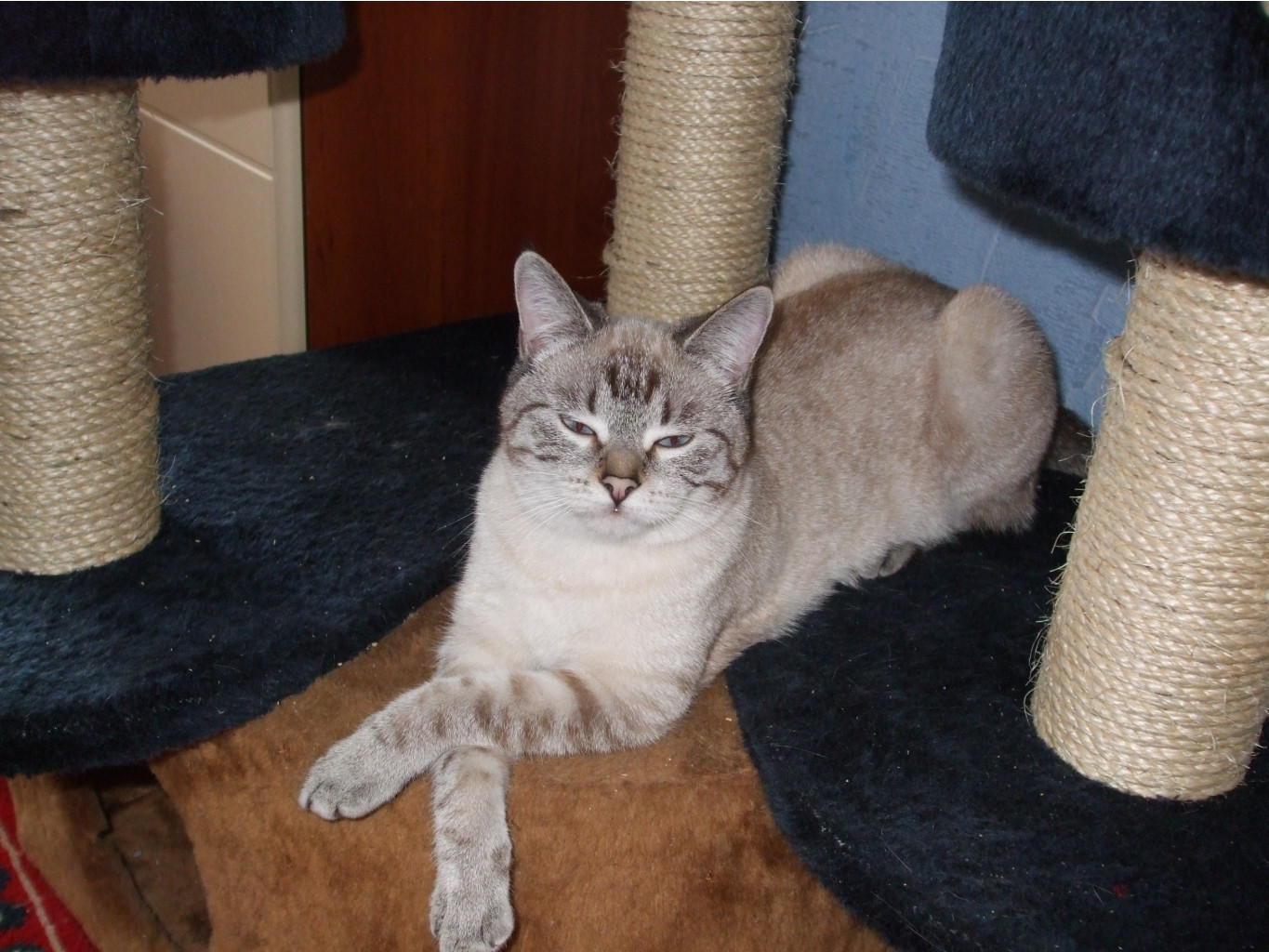 DSCF0546.jpg