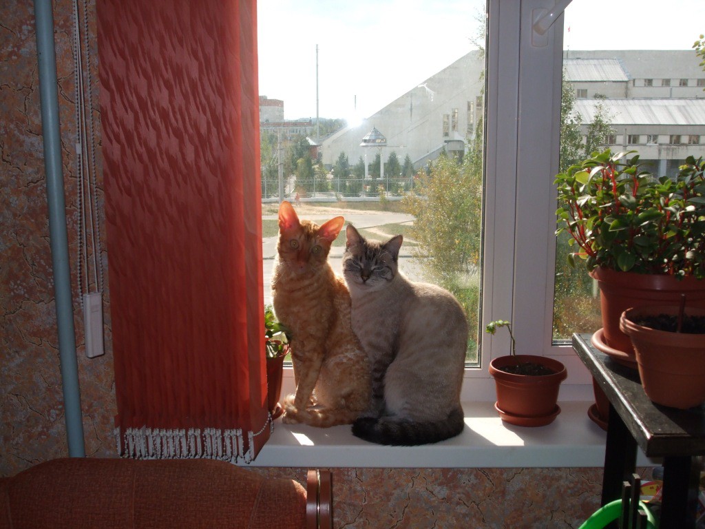 DSCF0864.JPG