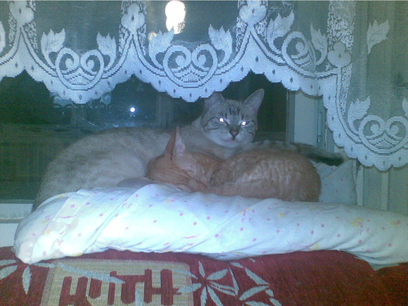 27042009_002.jpg