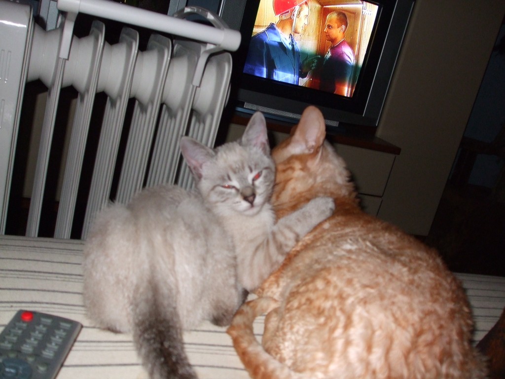 DSCF0464.jpg