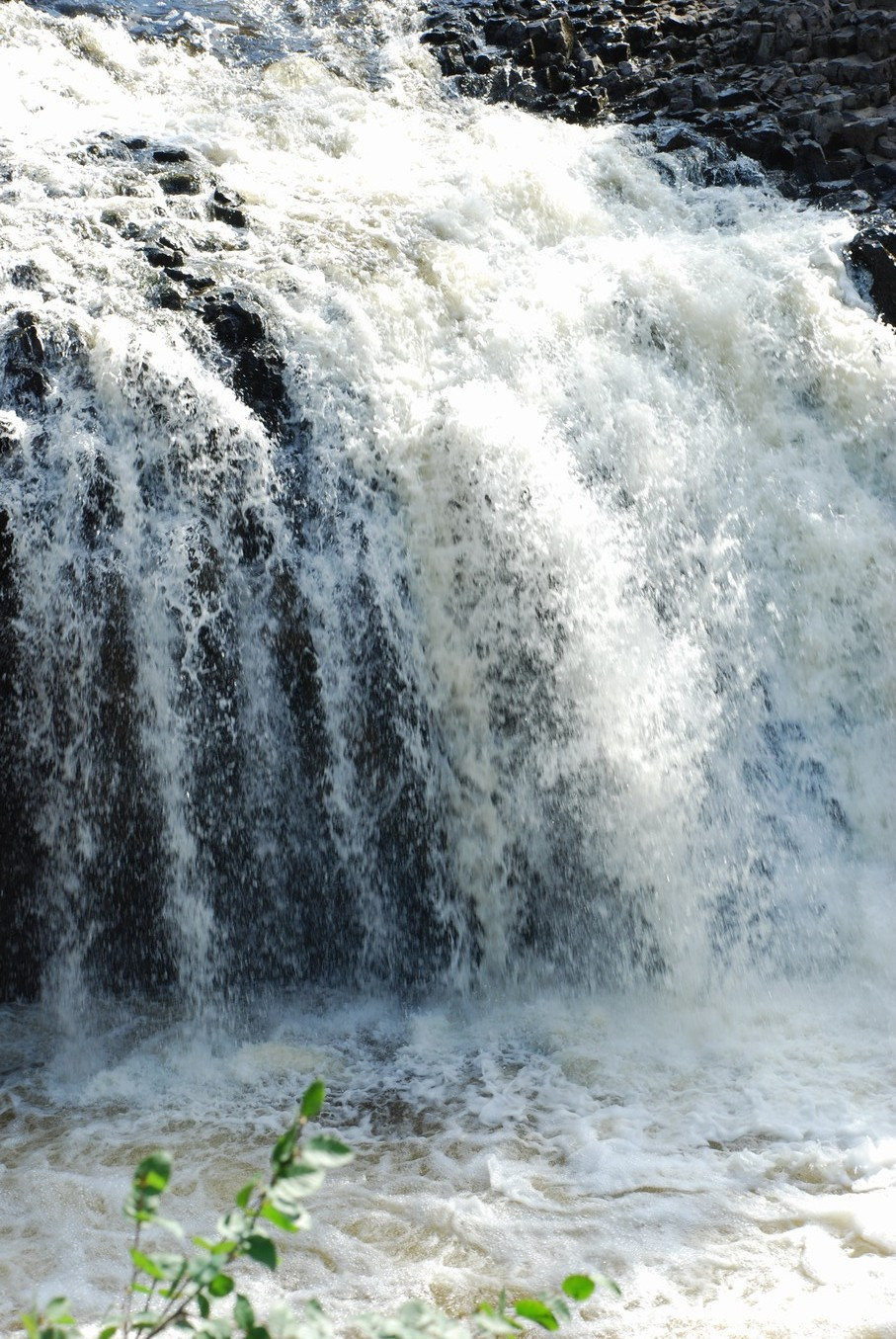 DSC_3769.JPG