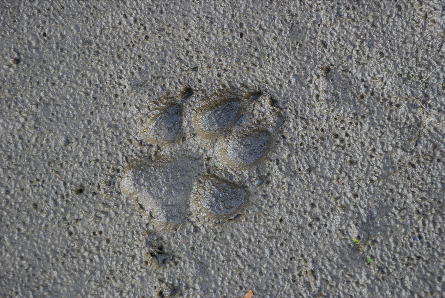 DSC_5330.JPG
