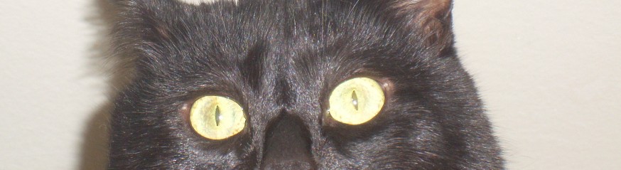 -.jpg