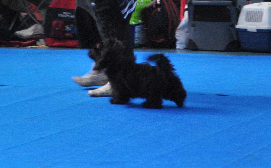 DSC_0003.JPG