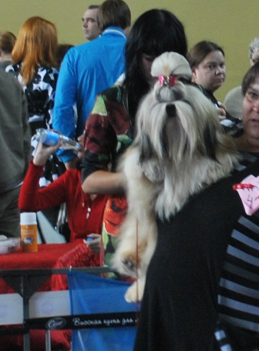 DSC_0038.JPG