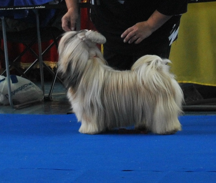 DSC_0042.JPG