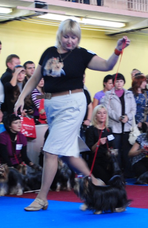  154.jpg