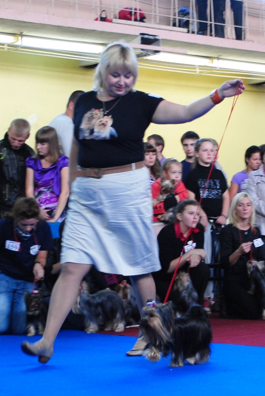  155.jpg