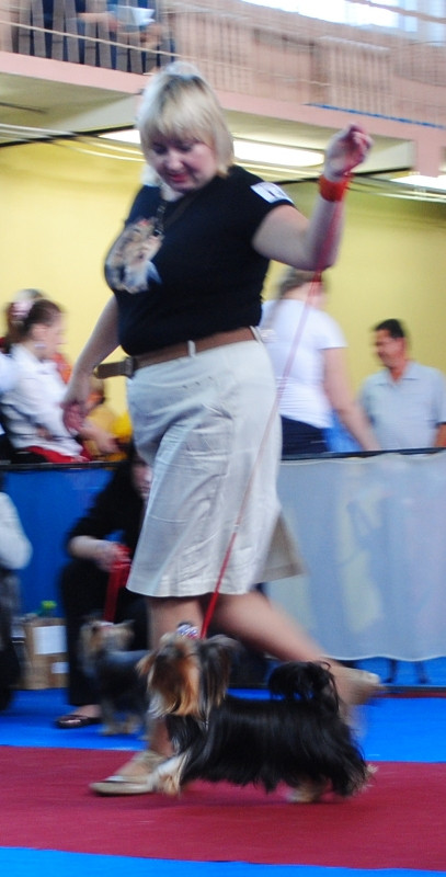  160.jpg