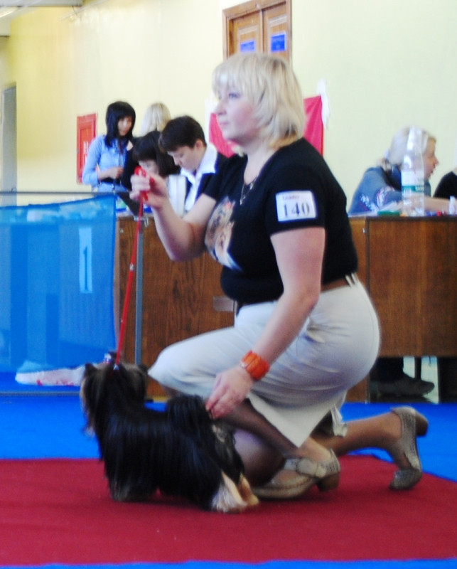  176.jpg