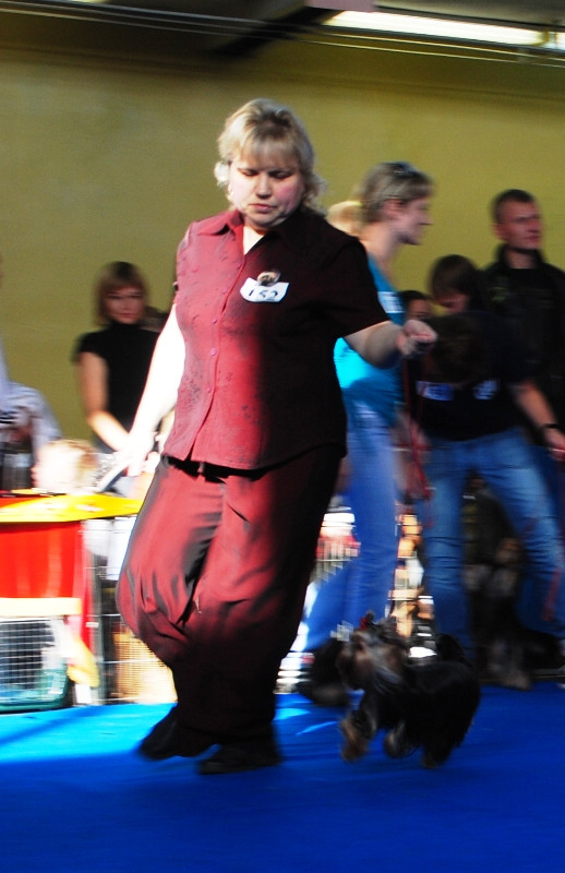  193.jpg