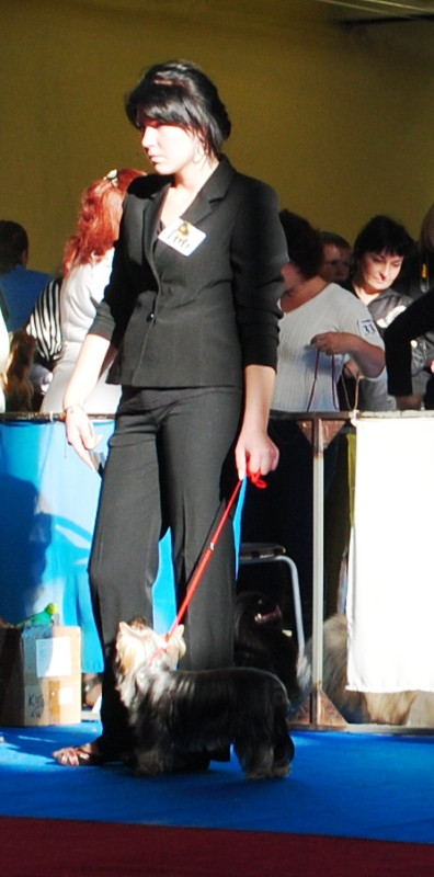  195.jpg