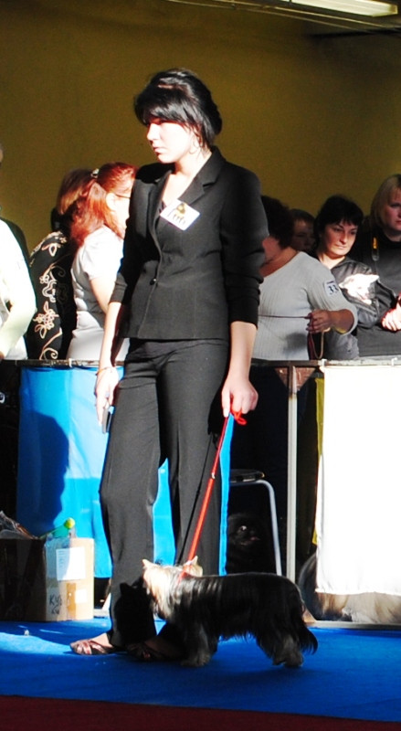  196.jpg