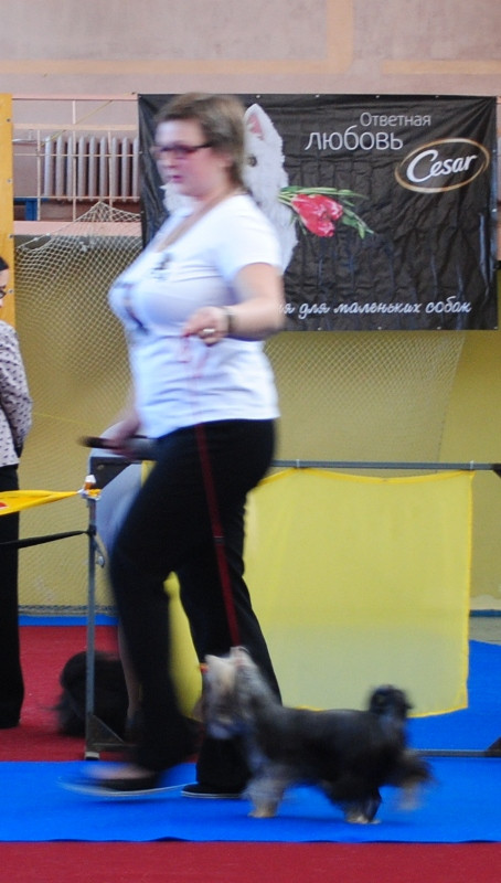  210.jpg