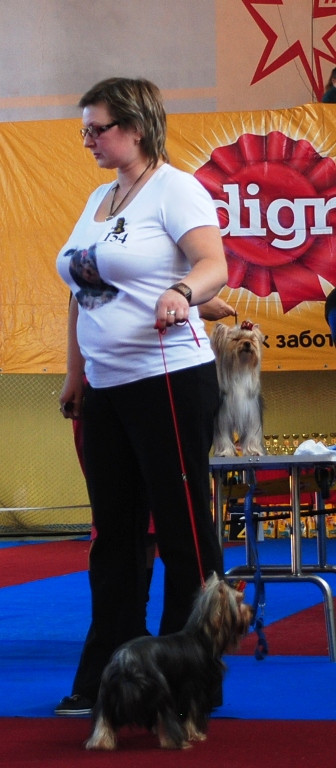  220.jpg