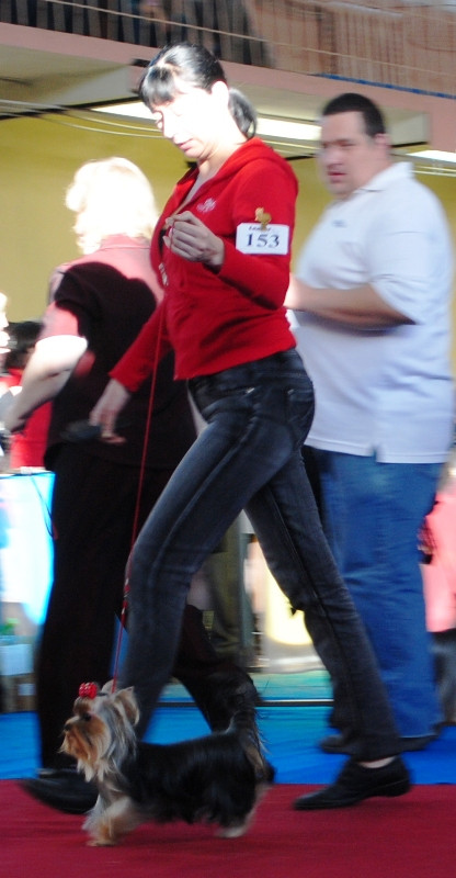  514.jpg