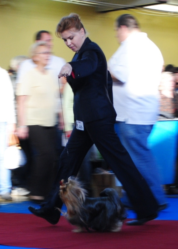  651.jpg