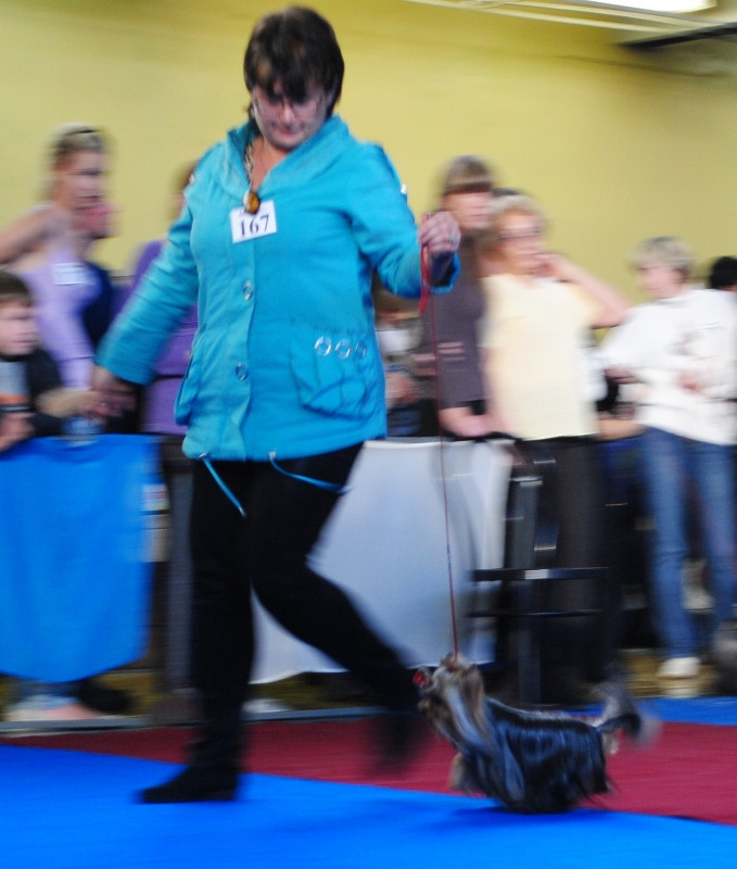  703.jpg