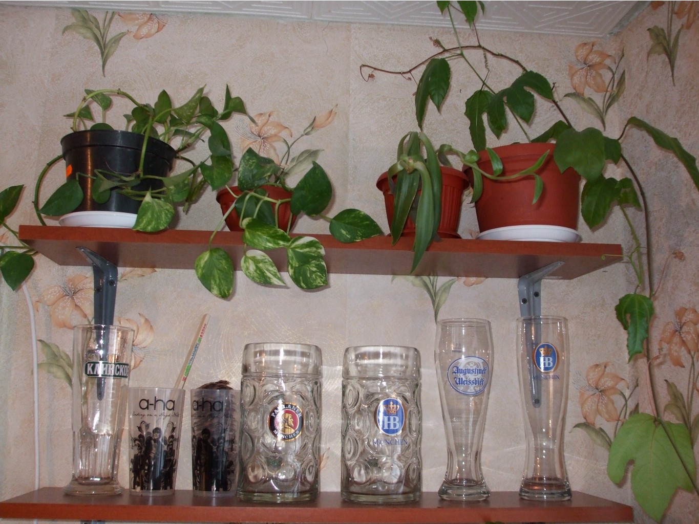 DSCF2987.JPG