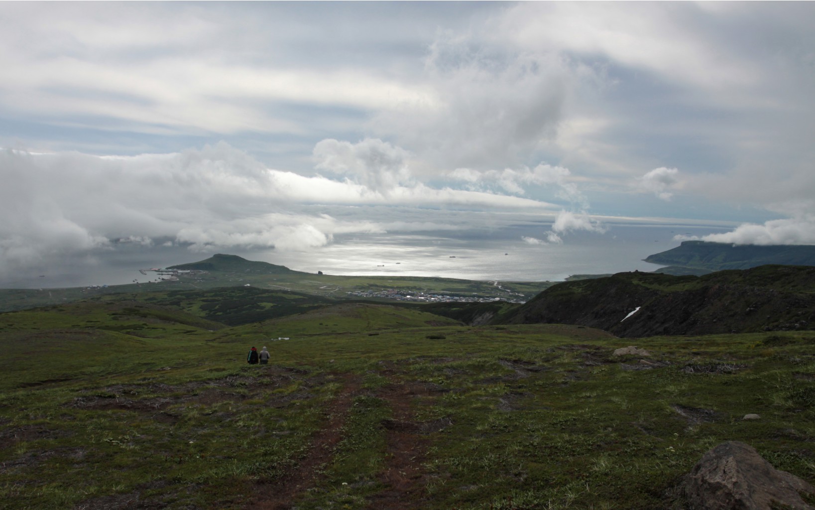 IMG_6529.jpg