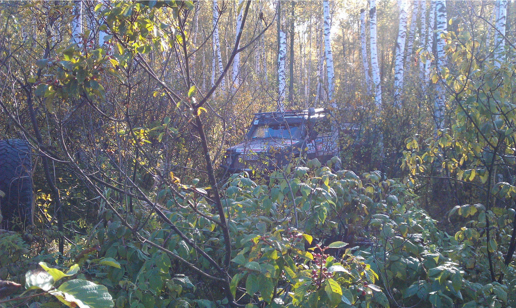 IMAG0630.jpg