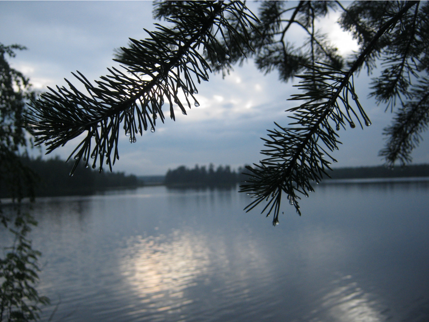 IMG_1239.JPG