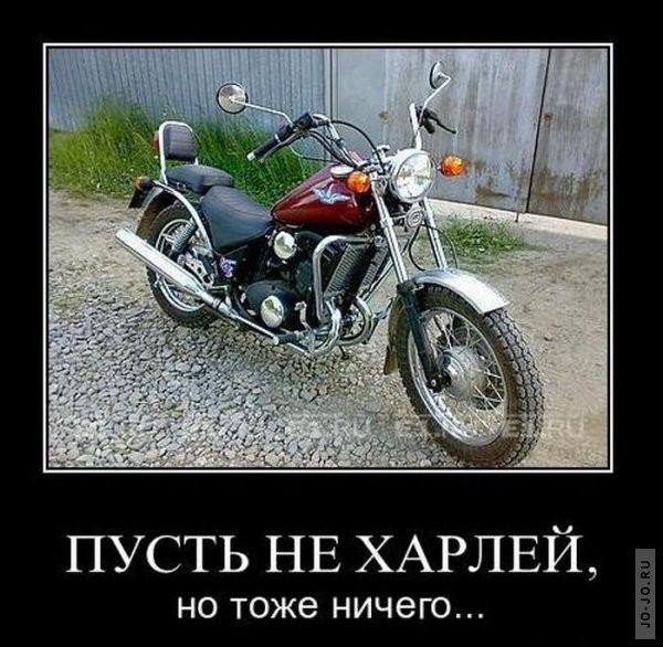 1294819176_dmeotivatory_10.jpg