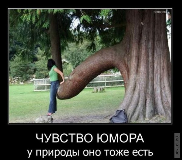 1294819232_dmeotivatory_12.jpg