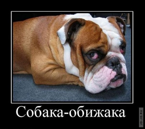1295430864_demotivf.jpg