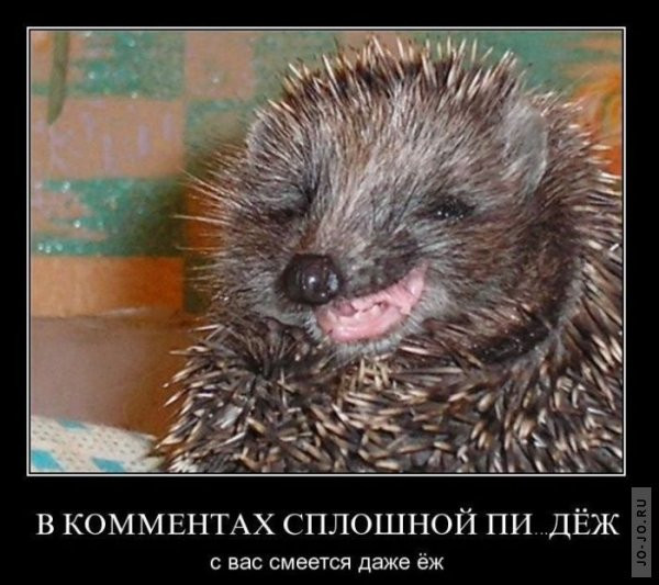 1295430868_demotiw4.jpg