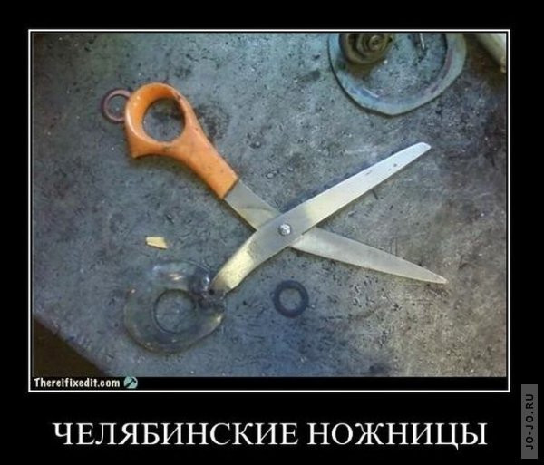 1295430897_demotiwl.jpg