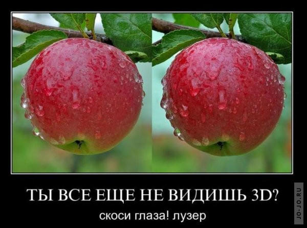 1296620108_demotivatory_12.jpg