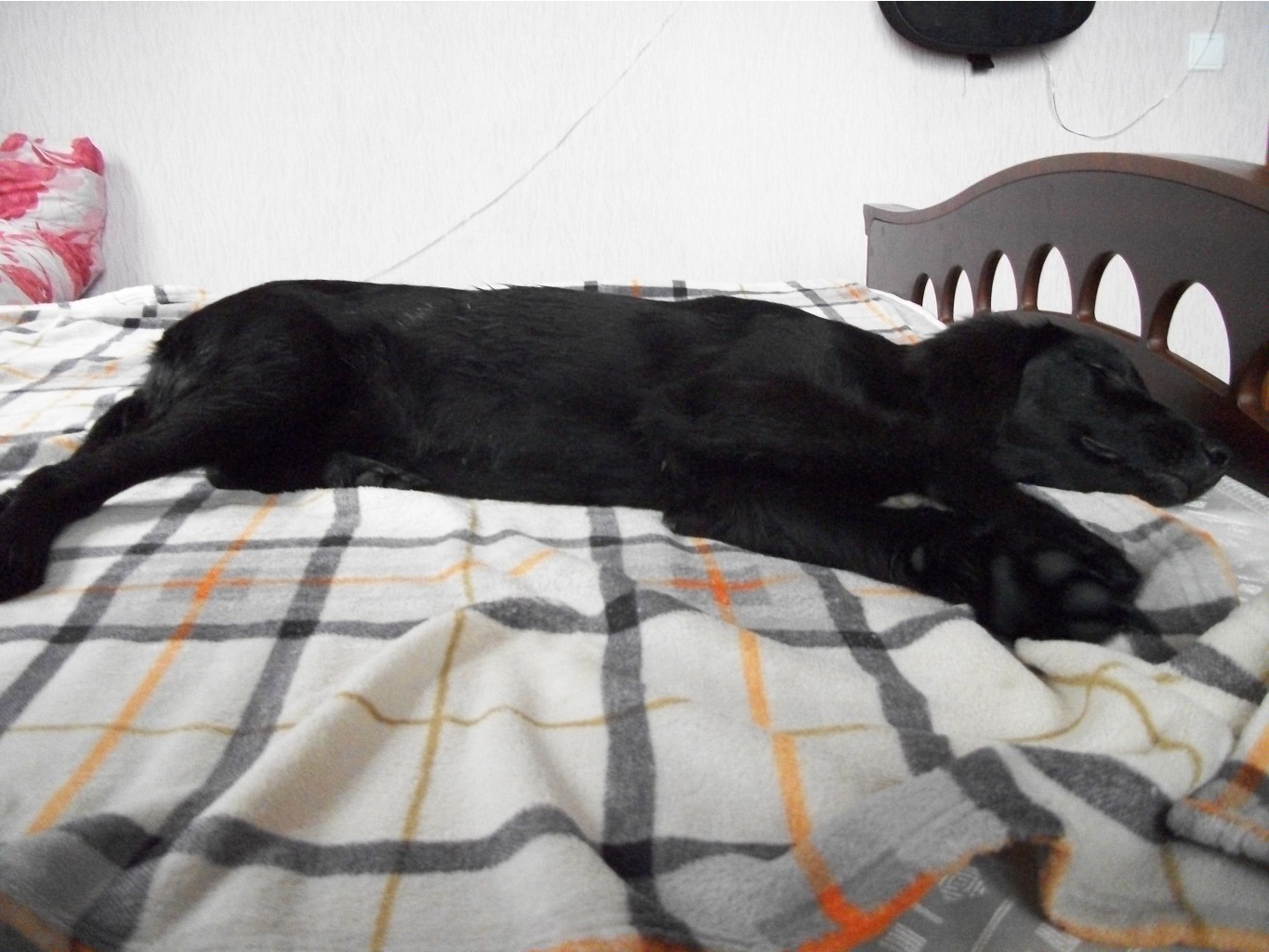 100_1515.JPG