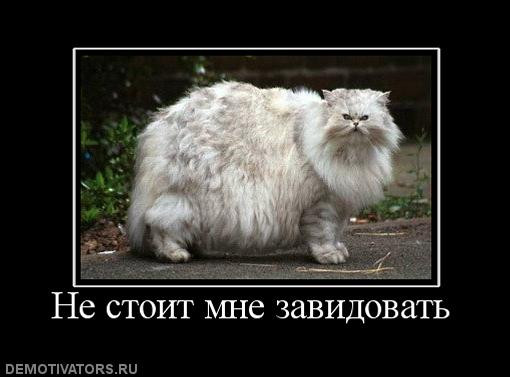 0b360ff93e17ae1d570cc00b546.jpg