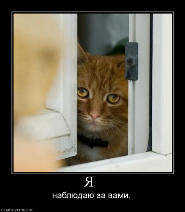 3d75752780d17059760a4fdf5f0_prev.jpg